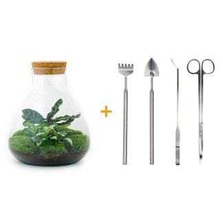 DIY terrarium - Sammie - Altezza  26 cm - Rake + Shovel + Tweezer + Scissors