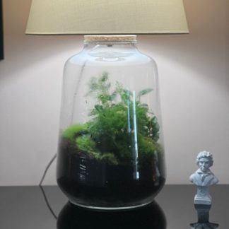  Filomena 3 Terrarium Lamp