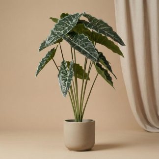 Alocasia 80cm - Kunstplant - Artificial plant