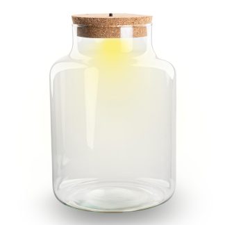 Bottle Garden with Led Light in Cork - Little Milky terrarium with light ↑ 24.5 cm - Bottle Garden