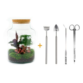 DIY terrarium - Milky - Altezza  30 cm - Rake + Shovel + Tweezer + Scissors