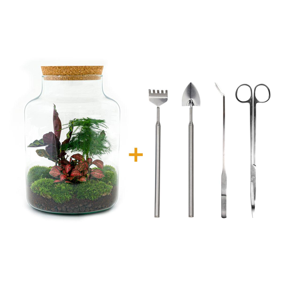 DIY terrarium – Milky – Altezza  30 cm – Rake + Shovel + Tweezer + Scissors