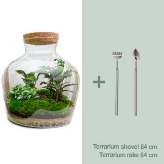 DIY terrarium - Fat Joe - Altezza  30 cm - Rake + Shovel
