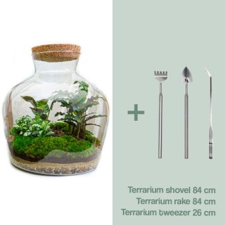DIY terrarium - Fat Joe - Altezza  30 cm - Rake + Shovel + Tweezer