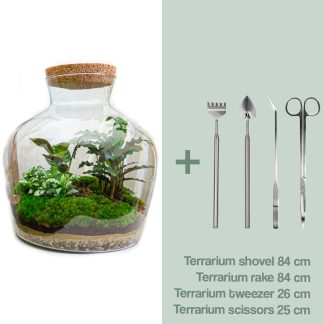 DIY terrarium - Fat Joe - Altezza  30 cm - Rake + Shovel + Tweezer + Scissors