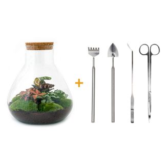 DIY terrarium - Sam XL Red - Altezza  35 cm - Rake + Shovel + Tweezer + Scissors