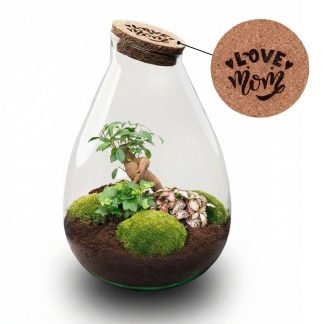 'LOVE MOM' terrarium Drop XL + Engraved cork - Bottle garden DIY kit – Vaso  24 cm ↑ 37 cm - Mother’s Day