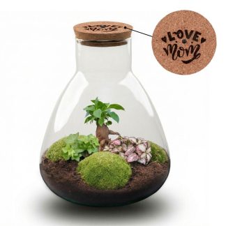 'LOVE MOM' terrarium Sam + Engraved cork Biancoh light - Bottle garden DIY kit - Vaso  24.5 cm ↑ 30 cm - Mother’s Day