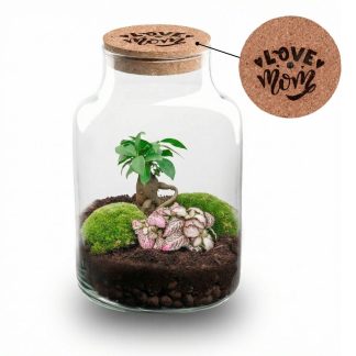 'LOVE MOM' terrarium Little Milky + Engraved cork Biancoh light - Bottle garden DIY kit - Vaso  17 cm ↑ 25 cm - Mother’s Day