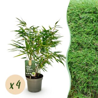 Bloemenhouder XL - Koraal - Ecru - Meertuitenvaas